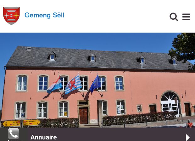 Screenshot: Homepage Gemeinde Saeul 